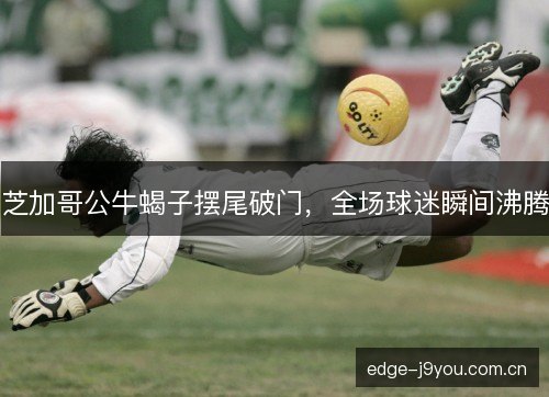 芝加哥公牛蝎子摆尾破门，全场球迷瞬间沸腾